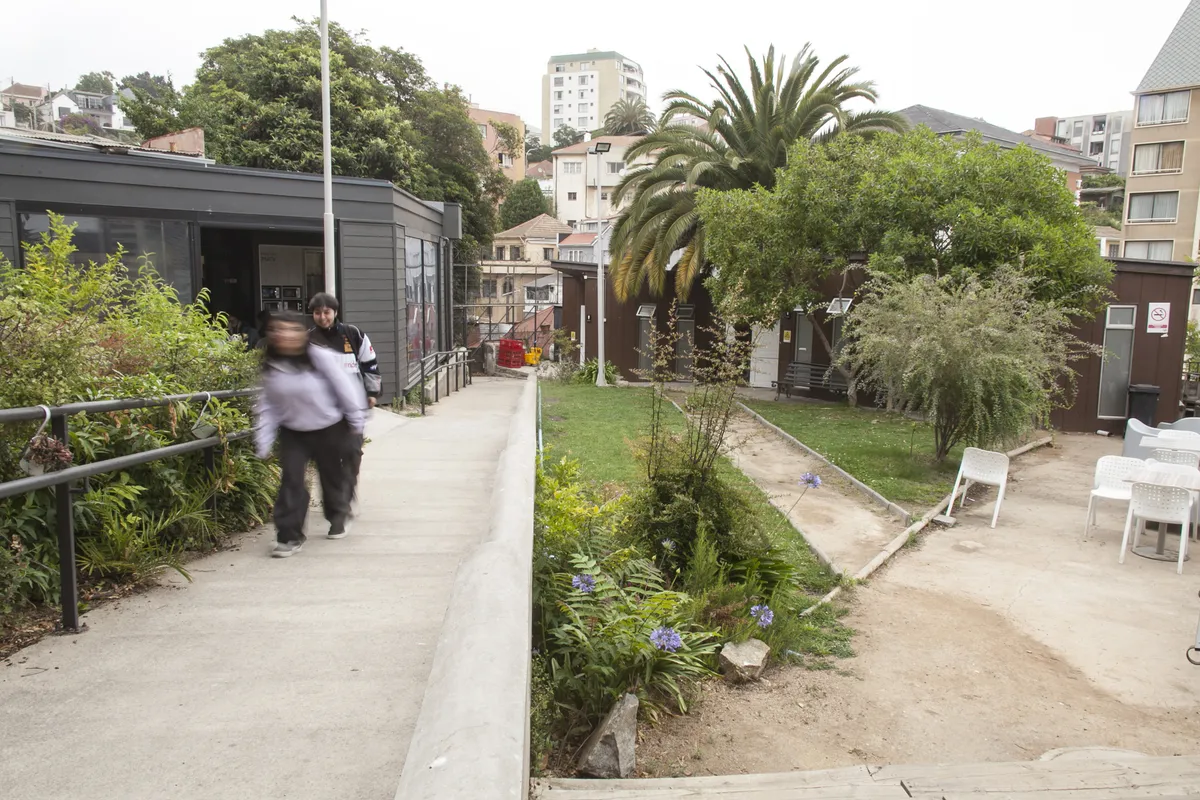 Diplomado en Formación Ciudadana