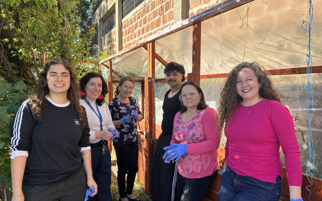 Instituto de Historia inicia el segundo ciclo del Taller de Huerto